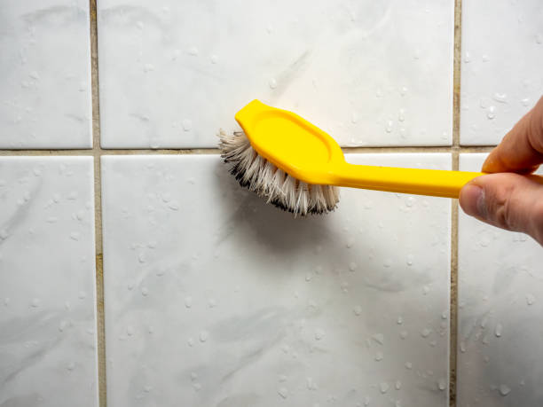 Best Emergency Mold Removal  in Tuscoosa, AL